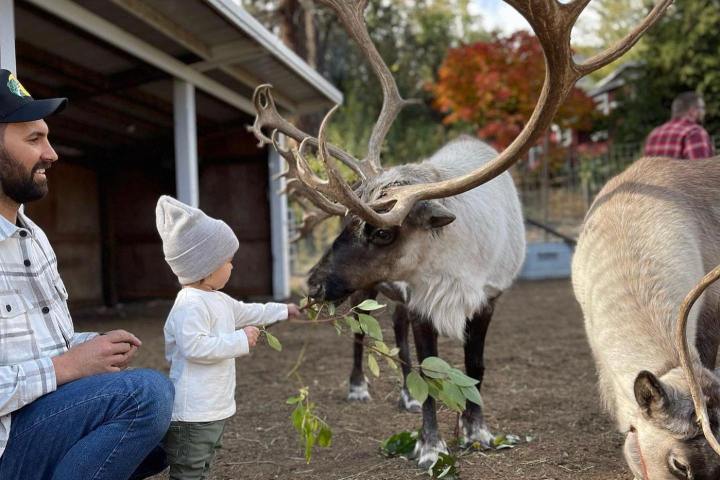 a person holding an animal