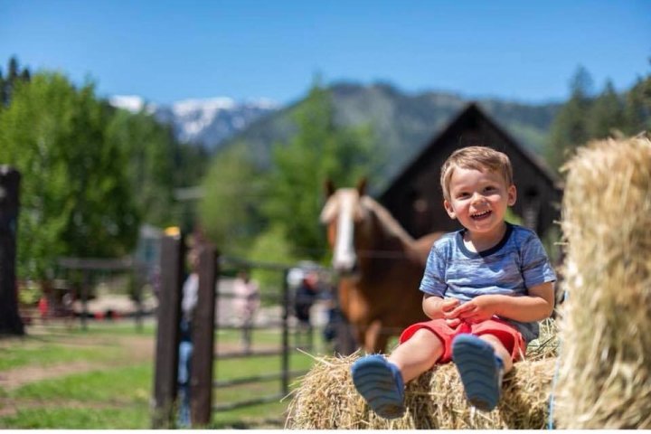 a little girl riding on top of a grass covered field