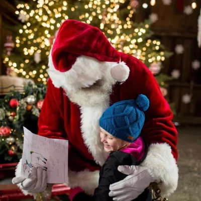a teddy bear sitting next to a christmas tree