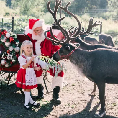 a person standing next to a horse