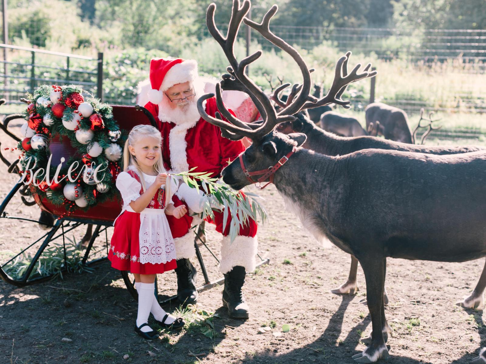 Christmas in July! Meet Santa + The Baby Reindeer Image 1 a person standing next to a horse