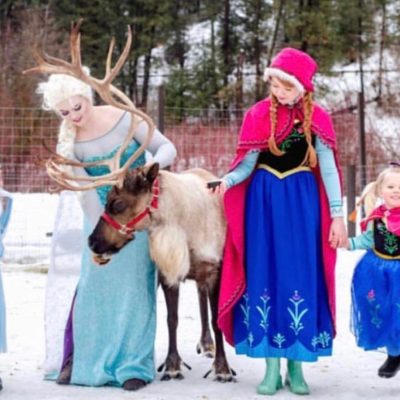 a group of people standing next to a horse