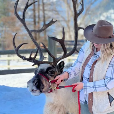 a deer standing next to a dog