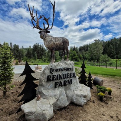 a herd of sheep standing on top of a rock