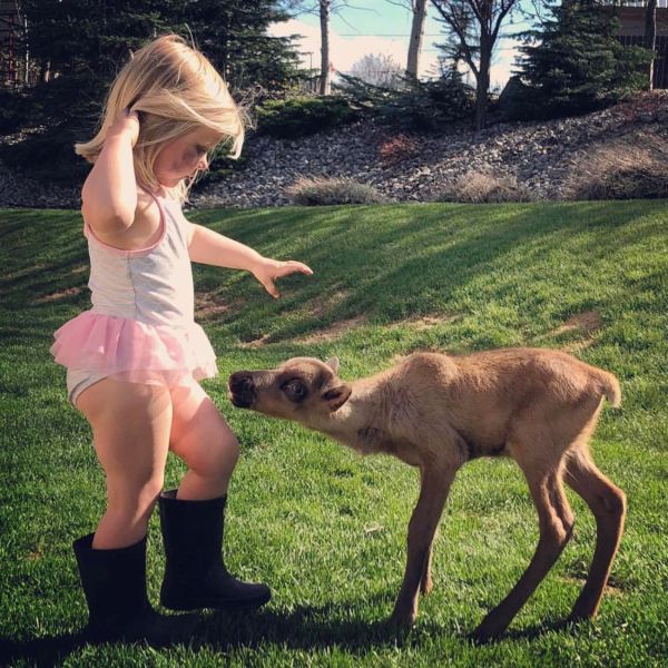 a woman petting a dog