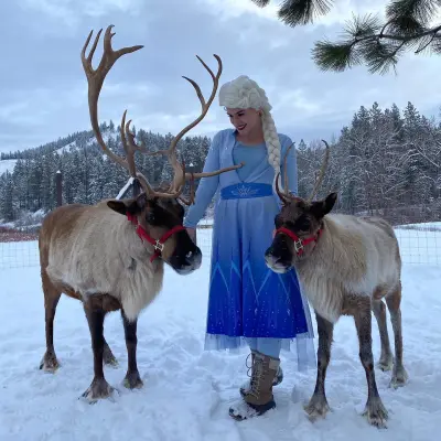 a dog that is standing in the snow