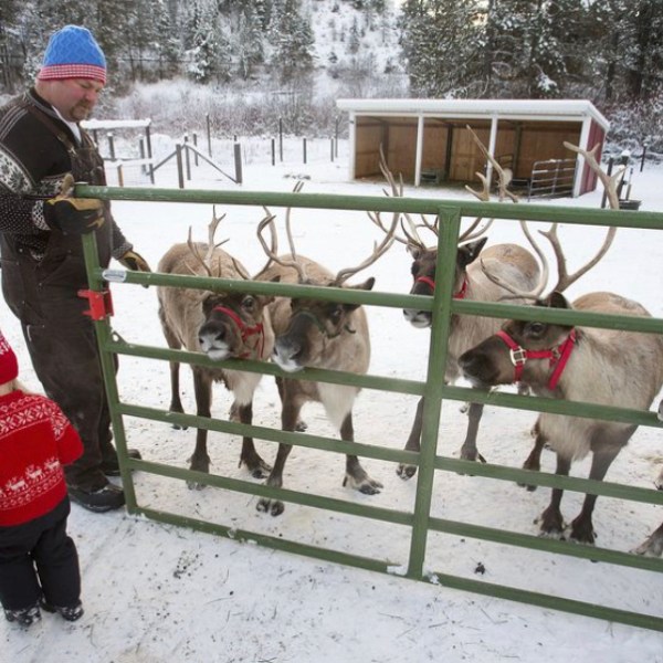 a group of people that are standing in the snow
