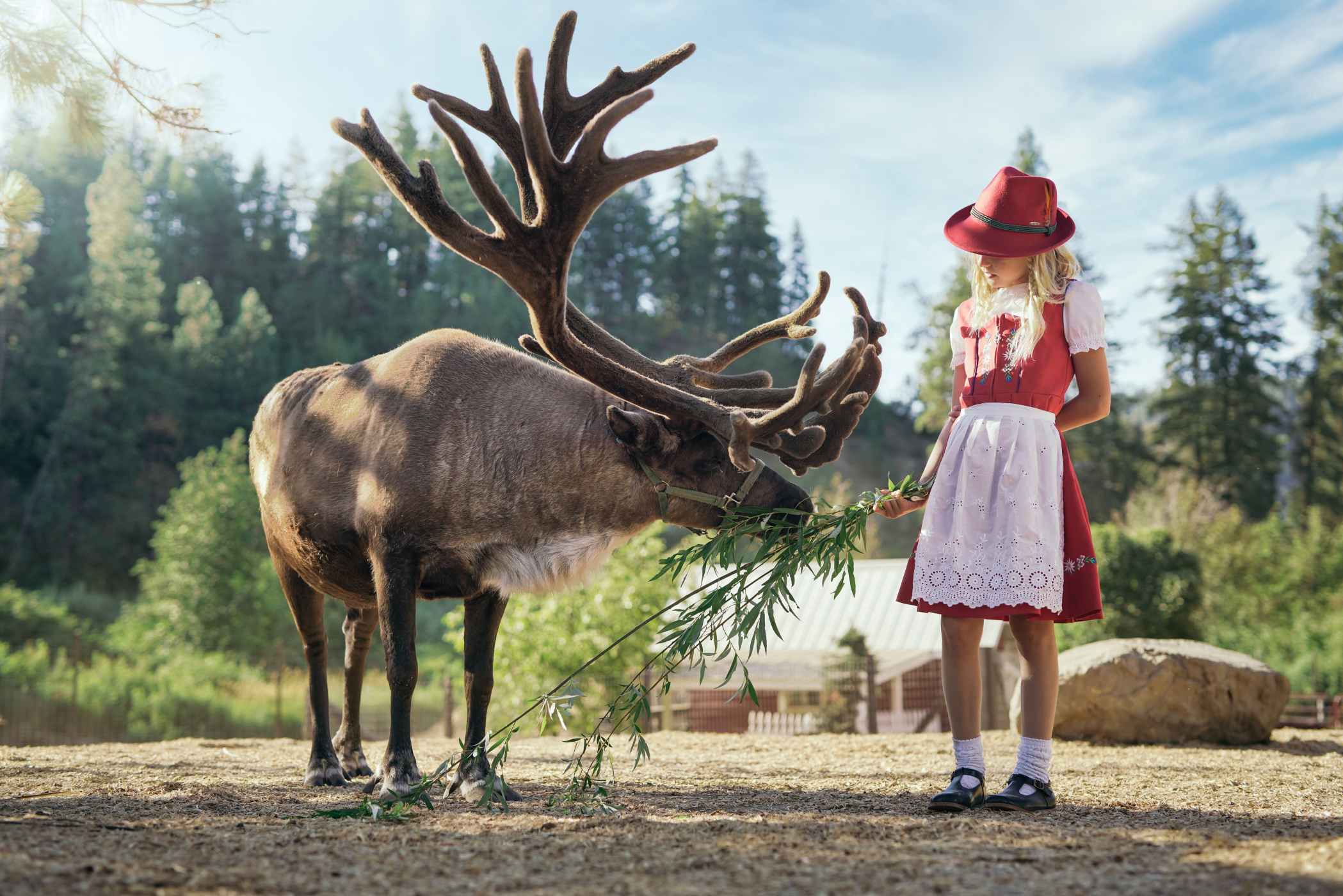Leavenworth reindeer farm family run reindeer farm in leavenworth wa