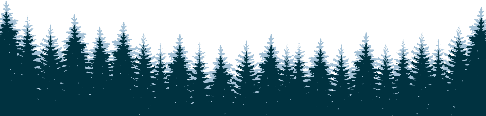 a close up of a snow covered forest