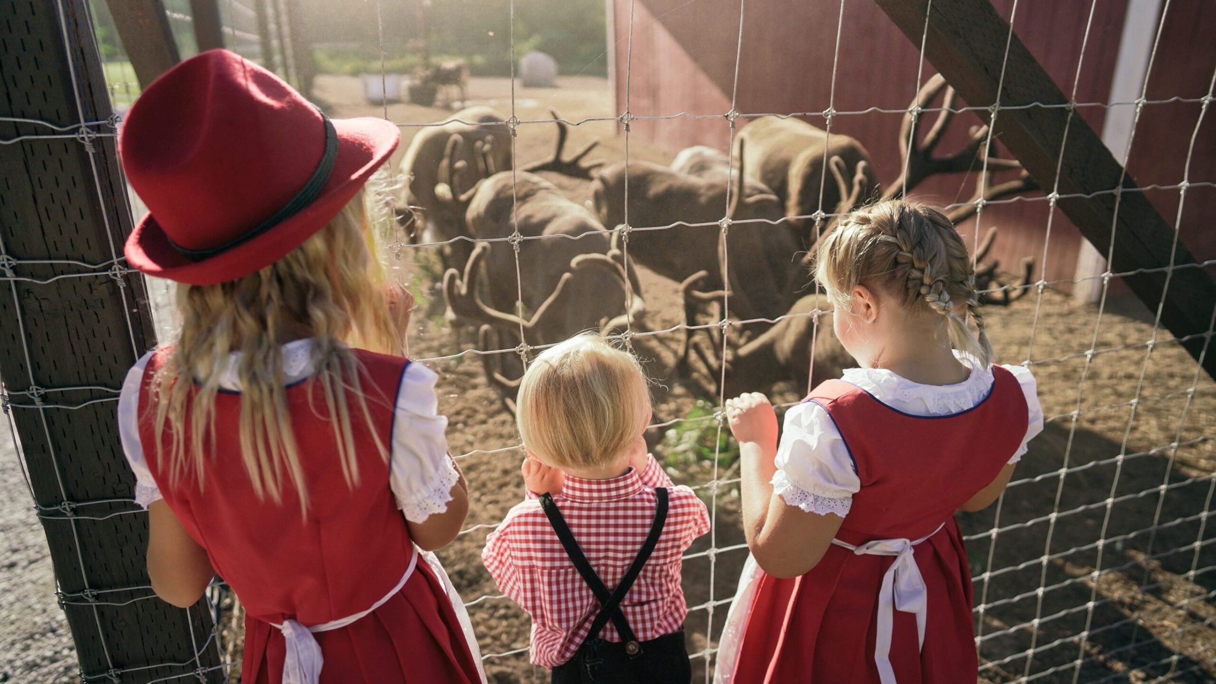 a little boy standing in front of a fence