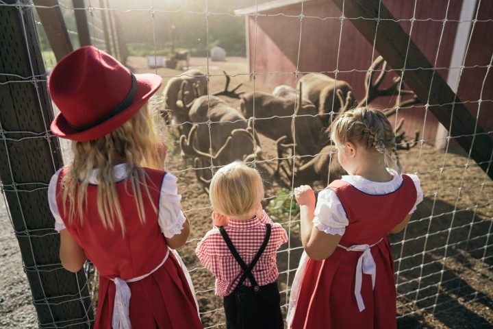 a little boy standing in front of a fence