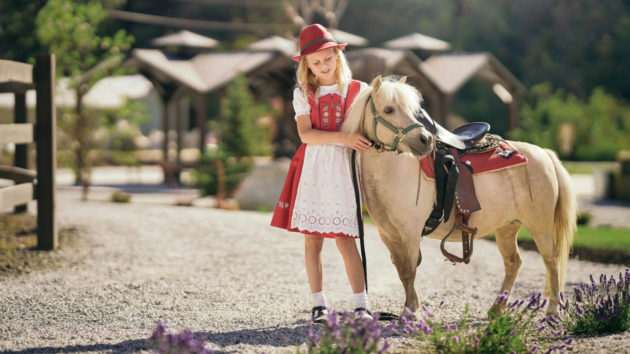 a dog carrying a bag walking down a dirt road