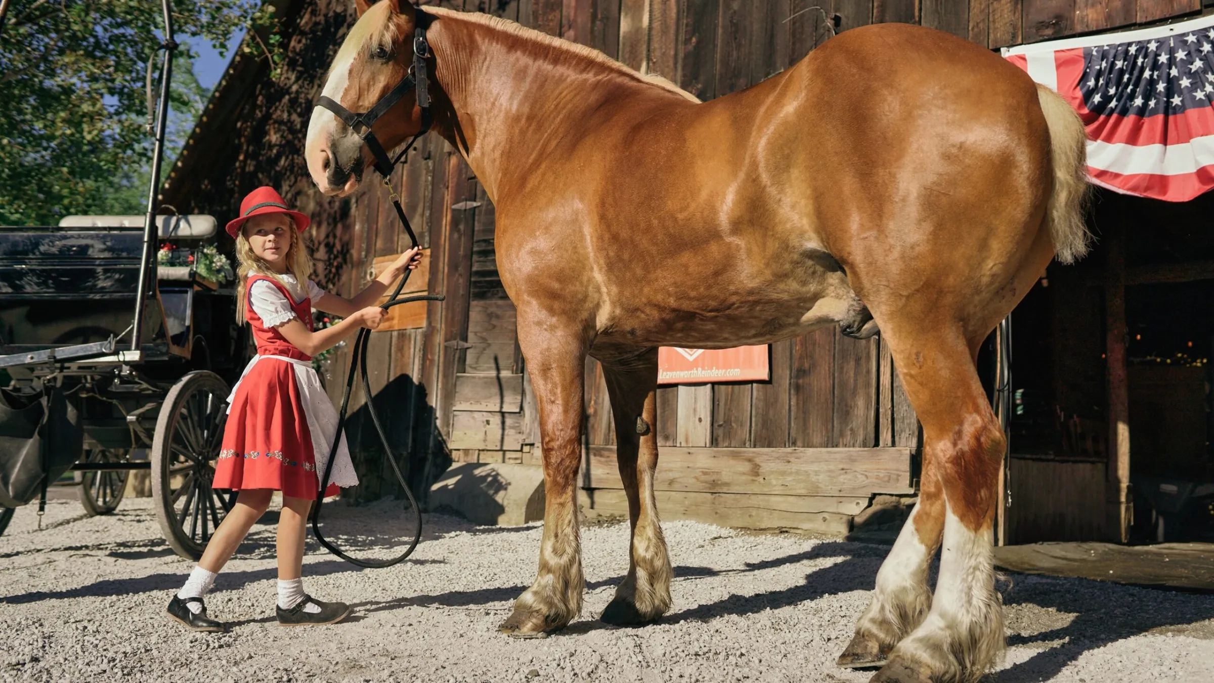 a brown horse standing next to a fence