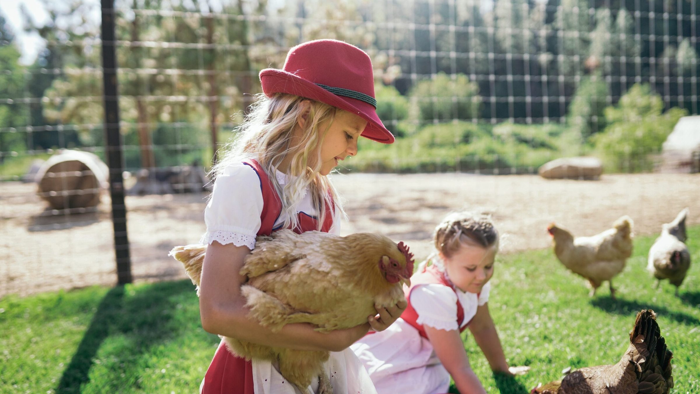 a little boy that is standing in the grass