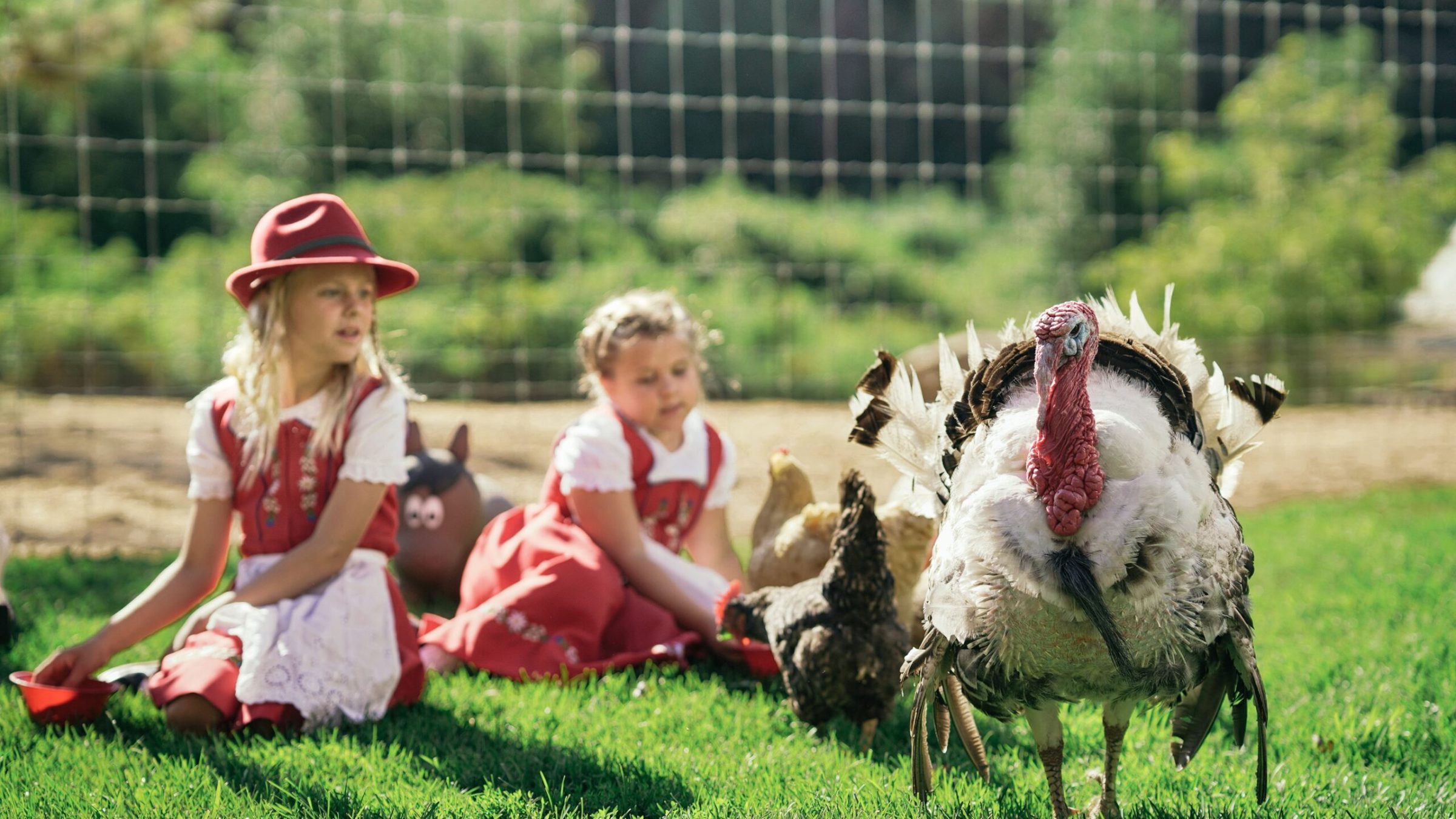 a little girl sitting in a field