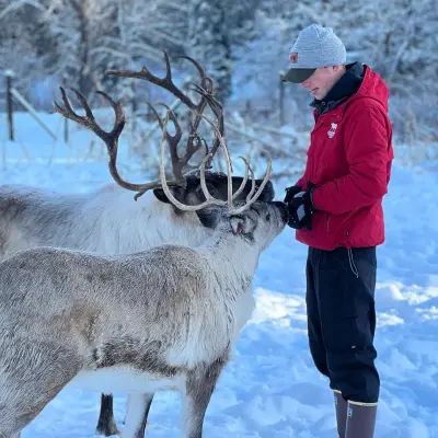 a deer standing in the snow