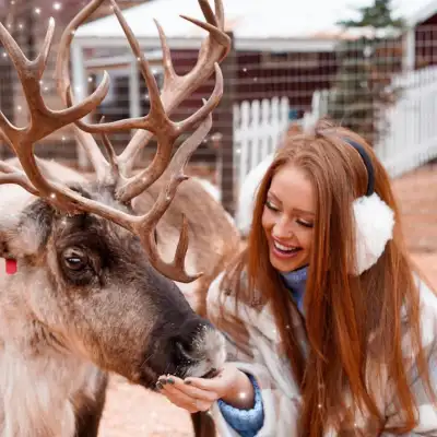 a deer standing next to a person