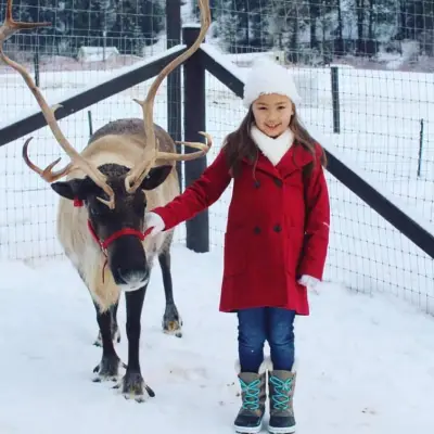 a dog that is standing in the snow