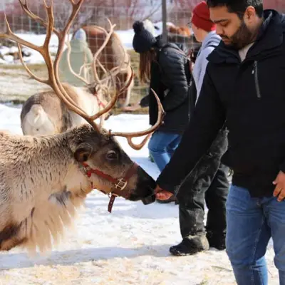 a man holding a sheep
