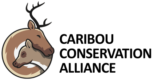 Horizontal+Logo+CCA+no+background CCA logo