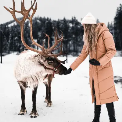 a deer standing in the snow