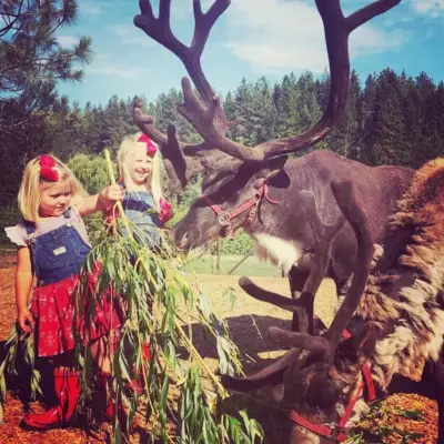 a group of people standing next to a cow