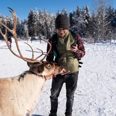 a deer standing in the snow