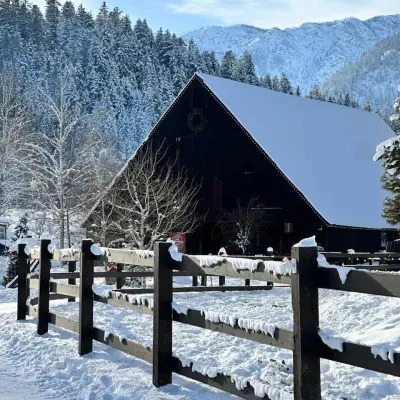 a snow covered mountain