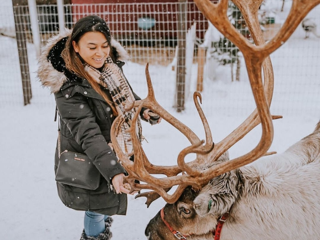 Celebrate the Season a woman holding an animal